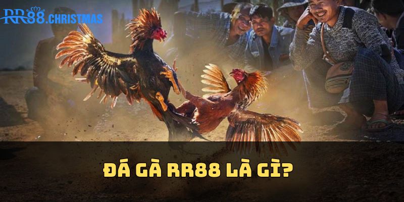 da-ga-rr88-la-gi
