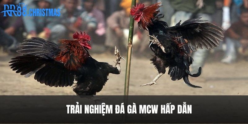 huong-dan-trai-nghiem-da-ga-mcw