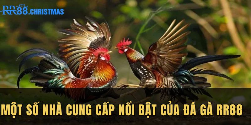 mot-so-nha-cung-cap-noi-bat-cua-da-ga-rr88