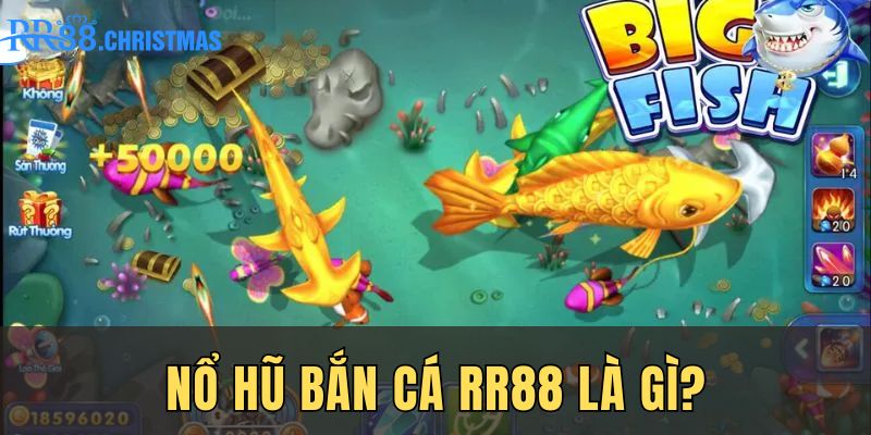 no-hu-ban-ca-rr88-la-gi