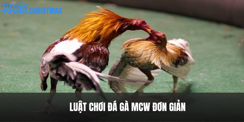 quy-dinh-luat-da-ga-mcw
