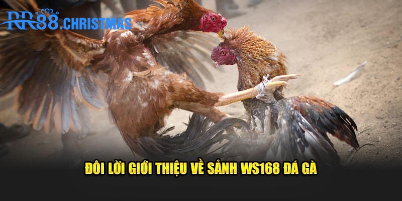 ws168-la-sanh-giai-tri-online-noi-tieng-hien-nay